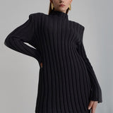 SpotLtWM Cotton Casual Women Knitted Two Piece Sets Ladies Slim Outfits Solid Striped Turtleneck Sweater And Elastic Pant Suits