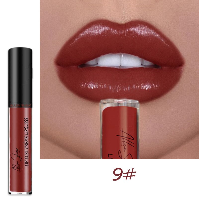 12 Colors Lips Makeup Lipstick Cosmetics Lip Gloss Long Lasting Moisture Cosmetic For Makeup Matte Lipstick Waterproof TSLM1