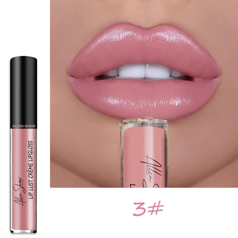 12 Colors Lips Makeup Lipstick Cosmetics Lip Gloss Long Lasting Moisture Cosmetic For Makeup Matte Lipstick Waterproof TSLM1