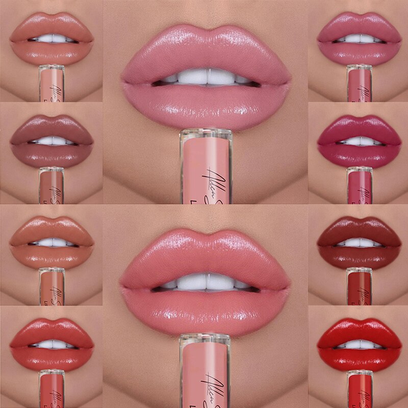 12 Colors Lips Makeup Lipstick Cosmetics Lip Gloss Long Lasting Moisture Cosmetic For Makeup Matte Lipstick Waterproof TSLM1