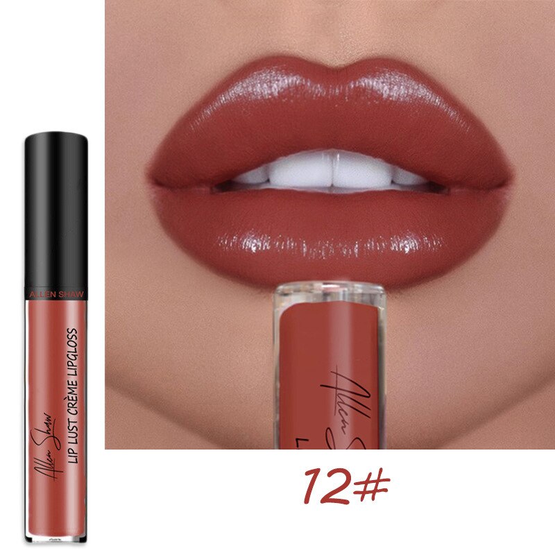 12 Colors Lips Makeup Lipstick Cosmetics Lip Gloss Long Lasting Moisture Cosmetic For Makeup Matte Lipstick Waterproof TSLM1