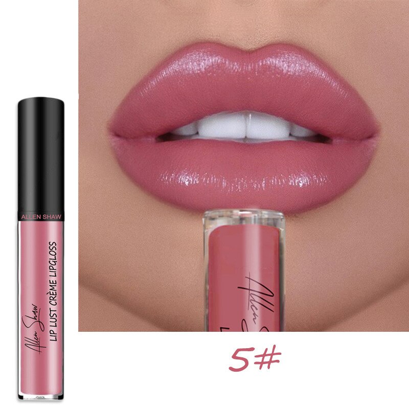 12 Colors Lips Makeup Lipstick Cosmetics Lip Gloss Long Lasting Moisture Cosmetic For Makeup Matte Lipstick Waterproof TSLM1