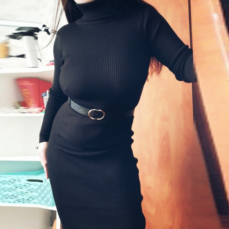 New Autumn Winter Women Knitted Dress Turtleneck Sweater Dresses Lady Slim Bodycon Long Sleeve Bottoming Dress Vestidos PP003