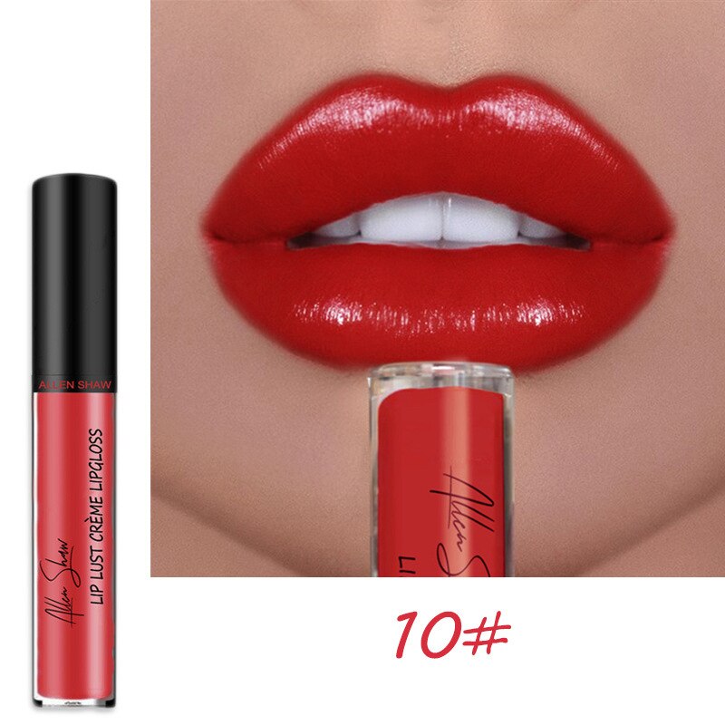 12 Colors Lips Makeup Lipstick Cosmetics Lip Gloss Long Lasting Moisture Cosmetic For Makeup Matte Lipstick Waterproof TSLM1