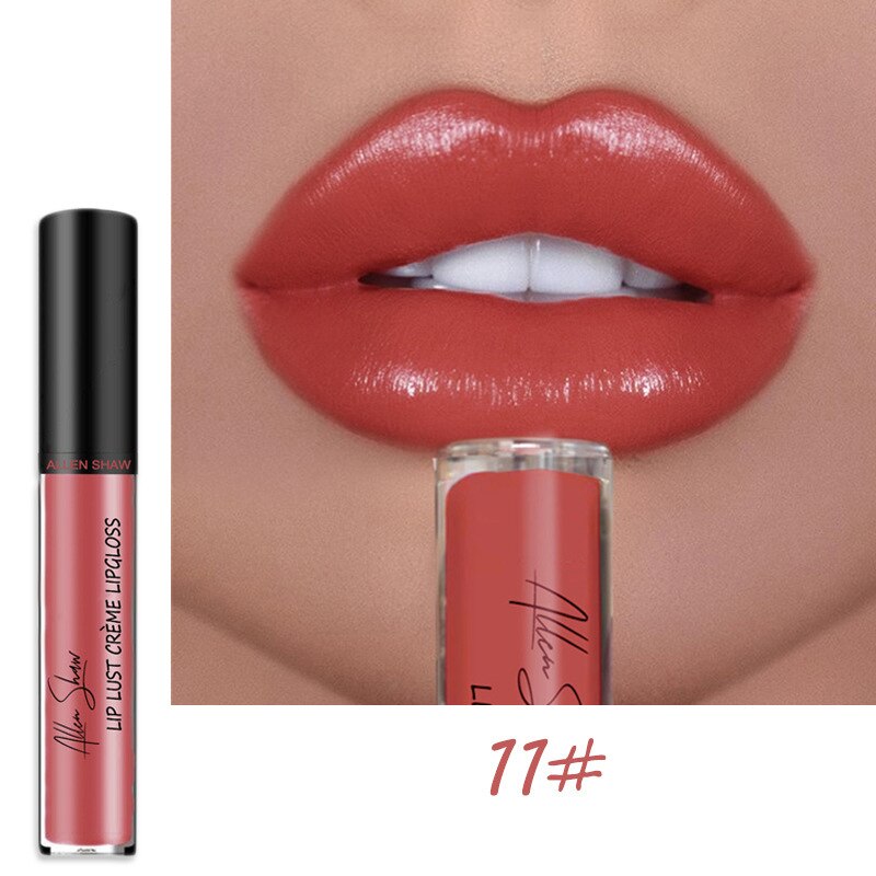 12 Colors Lips Makeup Lipstick Cosmetics Lip Gloss Long Lasting Moisture Cosmetic For Makeup Matte Lipstick Waterproof TSLM1