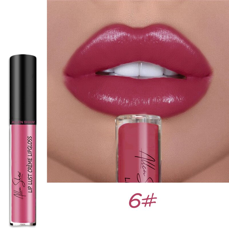 12 Colors Lips Makeup Lipstick Cosmetics Lip Gloss Long Lasting Moisture Cosmetic For Makeup Matte Lipstick Waterproof TSLM1