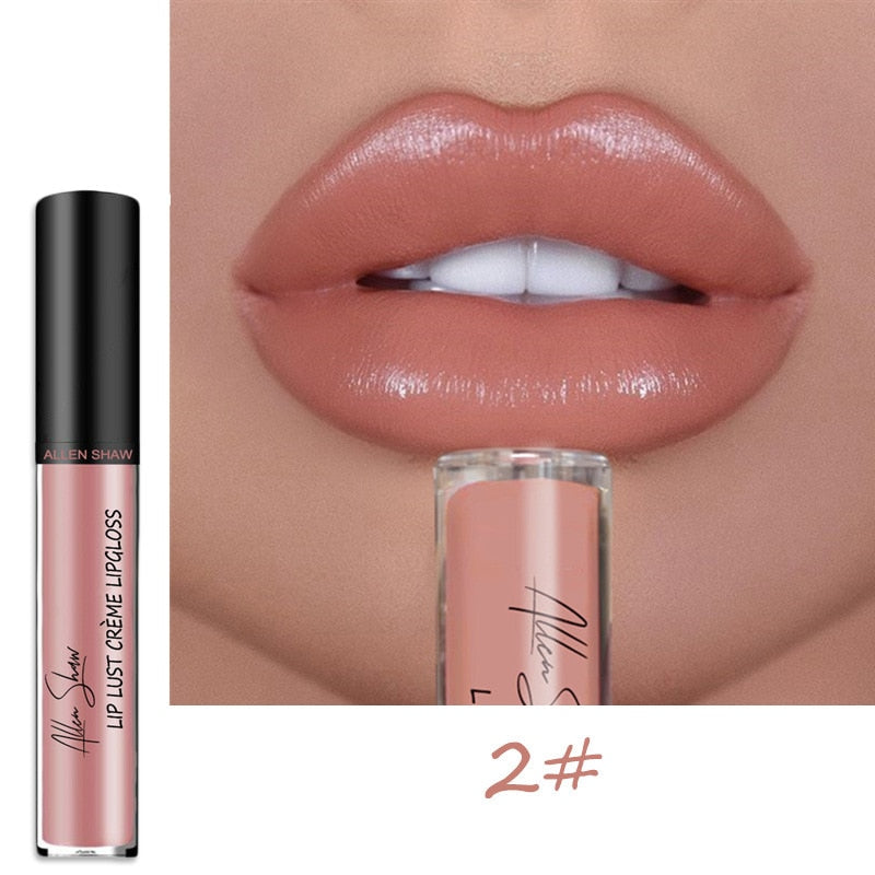 12 Colors Lips Makeup Lipstick Cosmetics Lip Gloss Long Lasting Moisture Cosmetic For Makeup Matte Lipstick Waterproof TSLM1