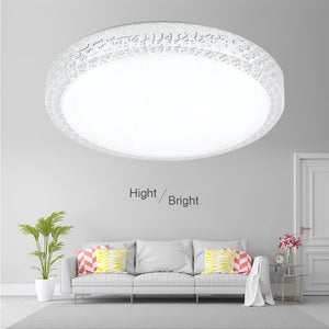 Modern Ultra Thin LED Ceiling Light 24/48W Modern Surface Mounted Led Ceiling Lamp for Living Room Bedroom Lighting Fixture