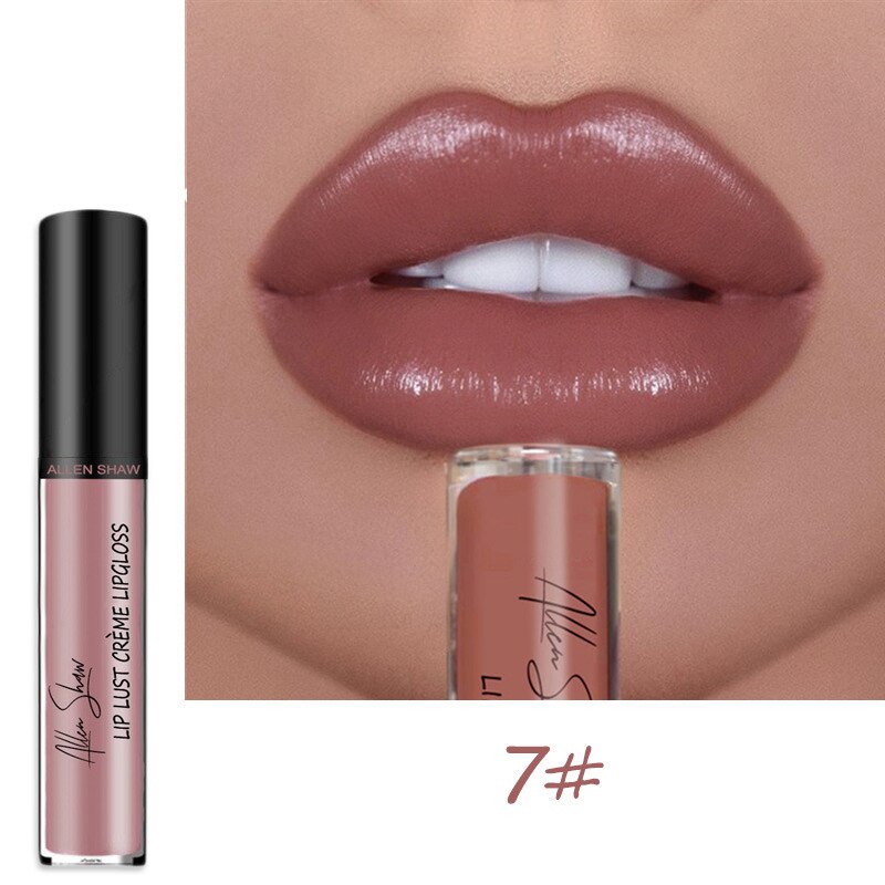 12 Colors Lips Makeup Lipstick Cosmetics Lip Gloss Long Lasting Moisture Cosmetic For Makeup Matte Lipstick Waterproof TSLM1