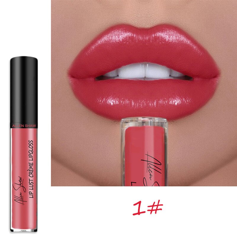 12 Colors Lips Makeup Lipstick Cosmetics Lip Gloss Long Lasting Moisture Cosmetic For Makeup Matte Lipstick Waterproof TSLM1