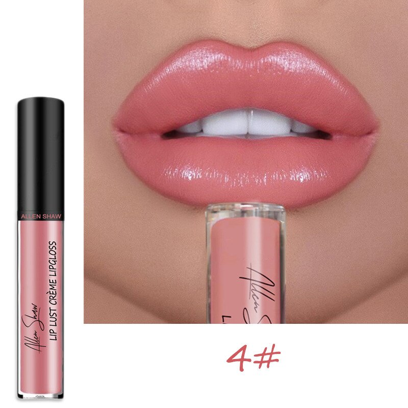 12 Colors Lips Makeup Lipstick Cosmetics Lip Gloss Long Lasting Moisture Cosmetic For Makeup Matte Lipstick Waterproof TSLM1