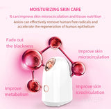 Facial Steamer Hot Nano Mister Sprayer Face Moisturizer Winter Skin Care Humidifier Nano Ionic Facial Sprayer Face Spa Nebulizer