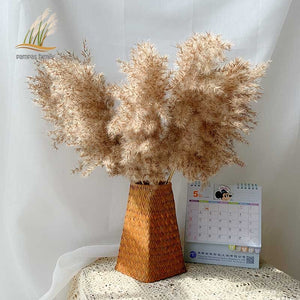Dried Pampas Grass Decor Fluffy Tall 20-22'' Wedding Flowers Arrangement Natural Bouquet For Home Christmas Decorations Vase