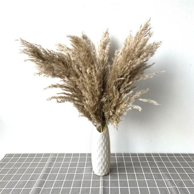 Dried Pampas Grass Decor Fluffy Tall 20-22'' Wedding Flowers Arrangement Natural Bouquet For Home Christmas Decorations Vase