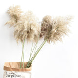 Dried Pampas Grass Decor Fluffy Tall 20-22'' Wedding Flowers Arrangement Natural Bouquet For Home Christmas Decorations Vase