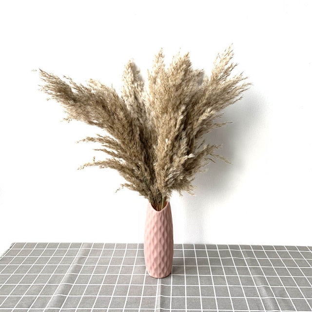 Dried Pampas Grass Decor Fluffy Tall 20-22'' Wedding Flowers Arrangement Natural Bouquet For Home Christmas Decorations Vase