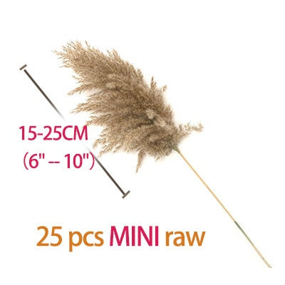 Dried Pampas Grass Decor Fluffy Tall 20-22'' Wedding Flowers Arrangement Natural Bouquet For Home Christmas Decorations Vase