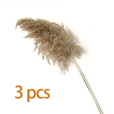 Dried Pampas Grass Decor Fluffy Tall 20-22'' Wedding Flowers Arrangement Natural Bouquet For Home Christmas Decorations Vase