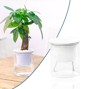 Automatic Water-absorbing Flower Pot Hydroponics Plastic Home Wall-mounted Potted Plant Bonsai Mini Garden Flower Pot