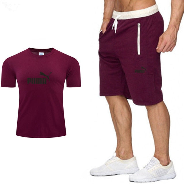 PUMA Leisure Men's Sportswear  Suit Short Sleeves  2 piece set