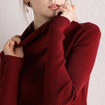 Causal Turtleneck Knitted Women Sweater Ladies Autumn Winter Fashion Korean Long Sleeve Pullover Sweater Warm Soft Tops