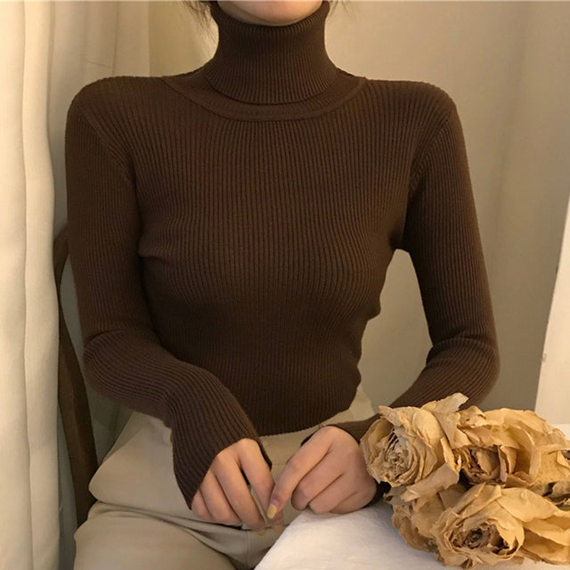 Causal Turtleneck Knitted Women Sweater Ladies Autumn Winter Fashion Korean Long Sleeve Pullover Sweater Warm Soft Tops